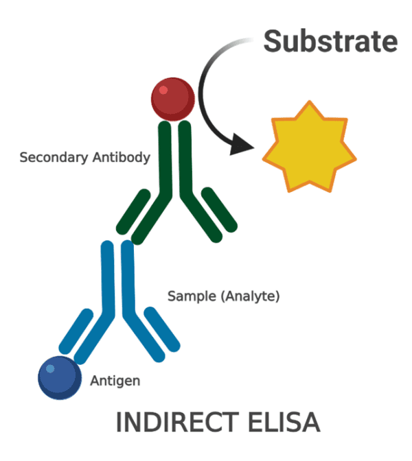ELISA Kits - AVIDA Bioscience