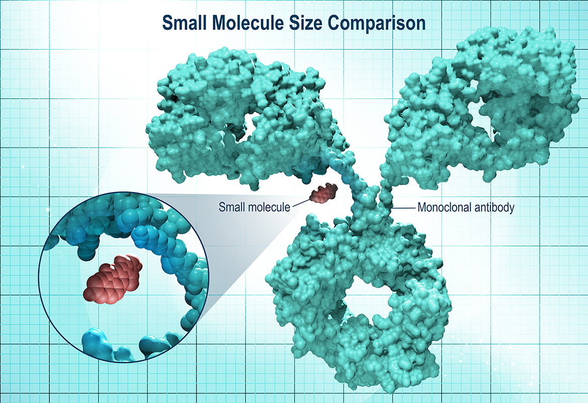 Small-Molecules-Fig2_1169x800